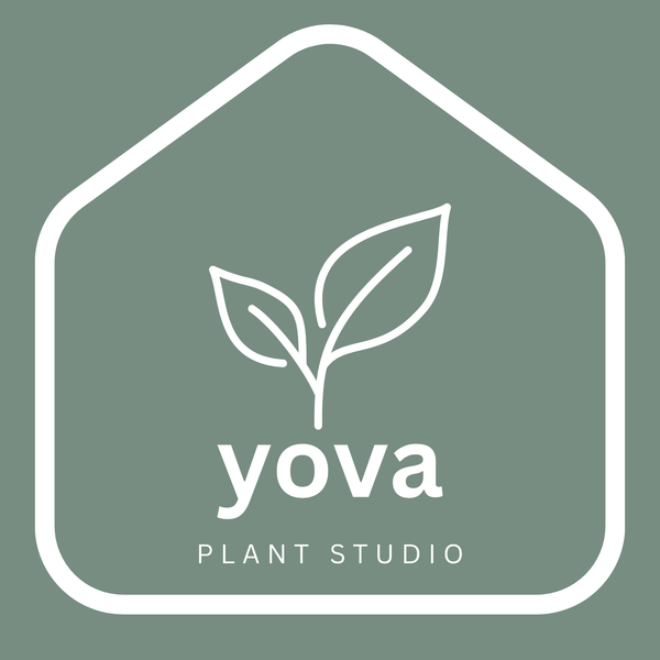 YovaPlantStudio